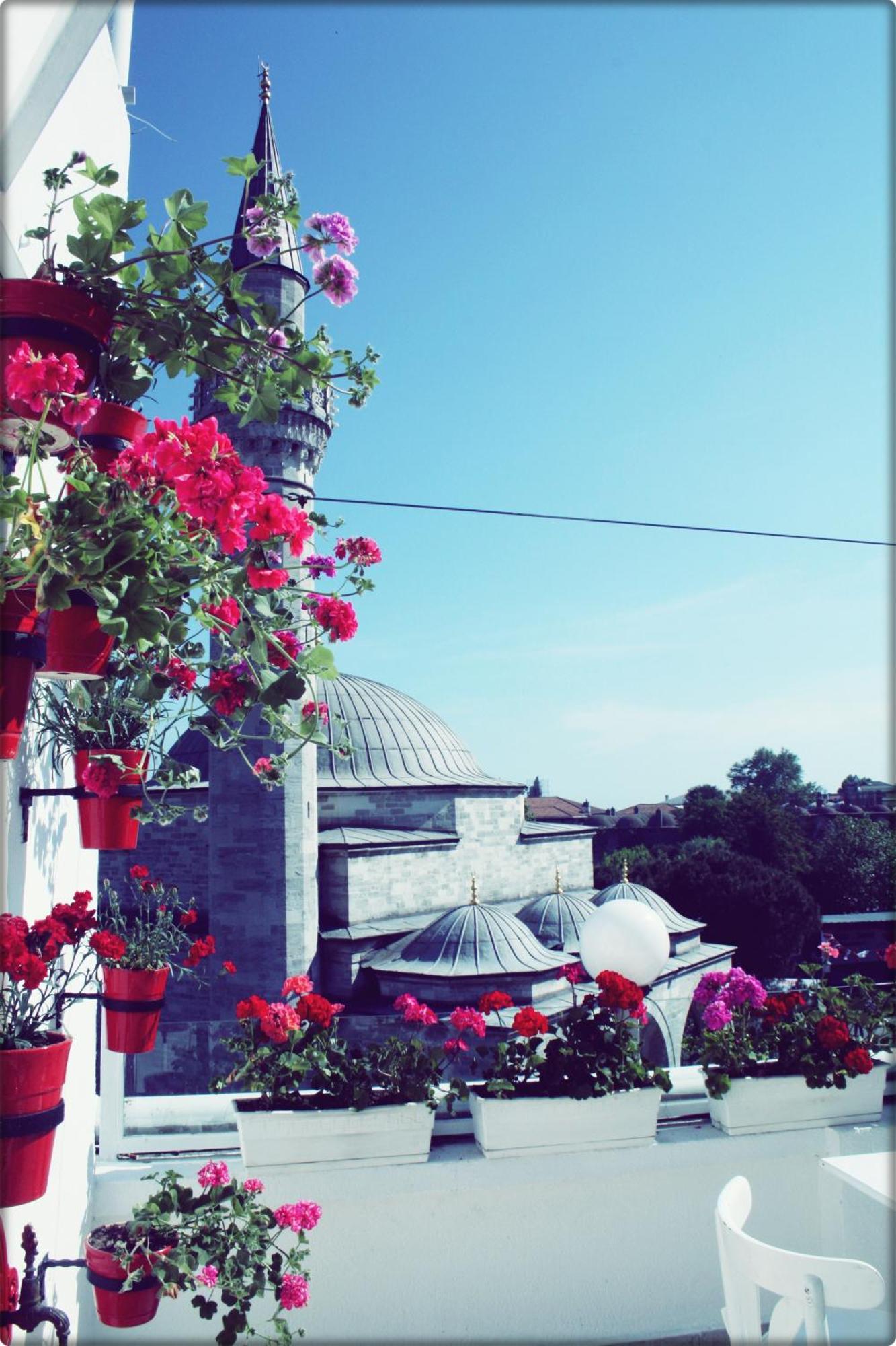 No20 Hotel Sultanahmet อิสตันบูล ภายนอก รูปภาพ